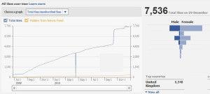 Facebook salon visitors example report