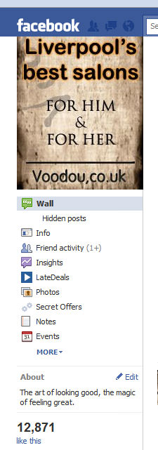 salon-most-facebook-fans salon-most-facebook-fans