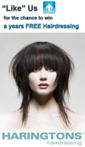 salon facebook tab