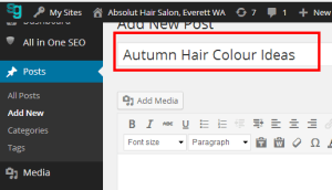 Salon WordPress H1 Titles