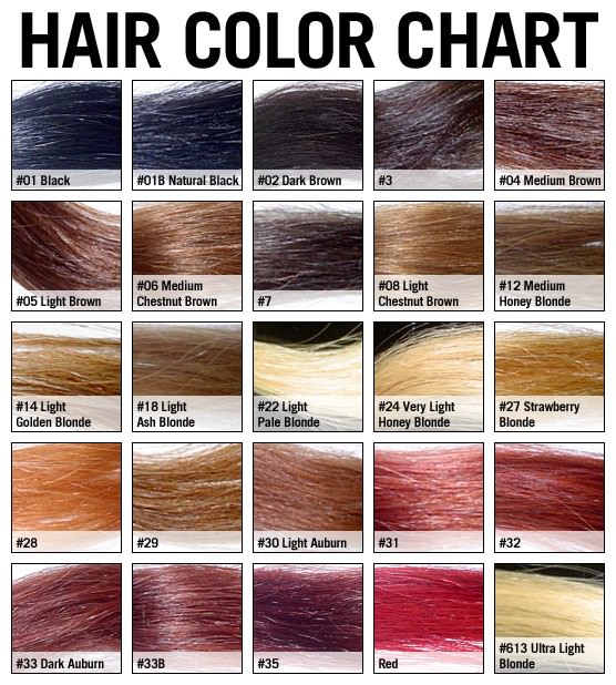 Hair Color Chart Salon Guru Websites