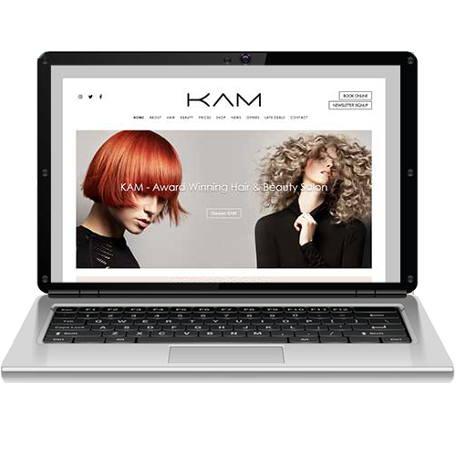 Beauty and Aesthetics Websites
