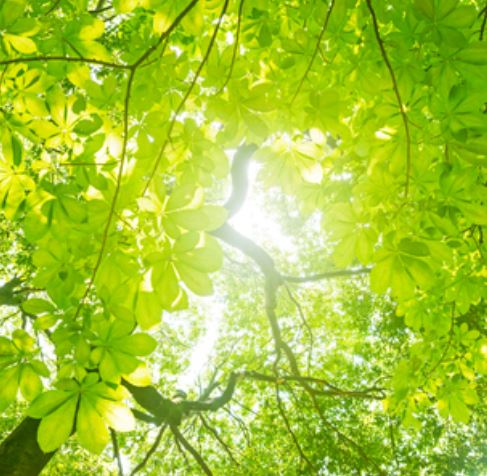 How to become a green beauty salon