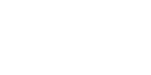 bellissimo logo