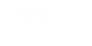 voodou logo