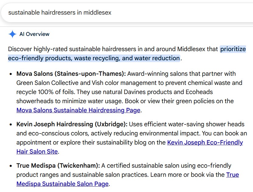 SEO and AI search results for salons with Salon Guru SEO and AI search results for salons with Salon Guru