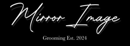 SEO FOR BARBER WEBSITES - SALON GURU SEO FOR BARBER WEBSITES - SALON GURU