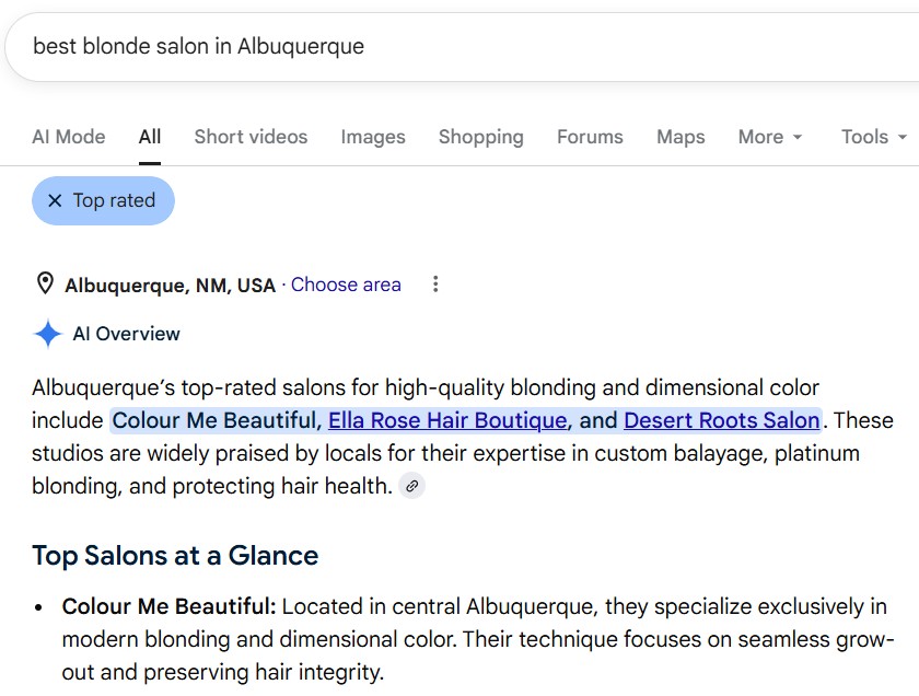 seo salon results with Salon Guru