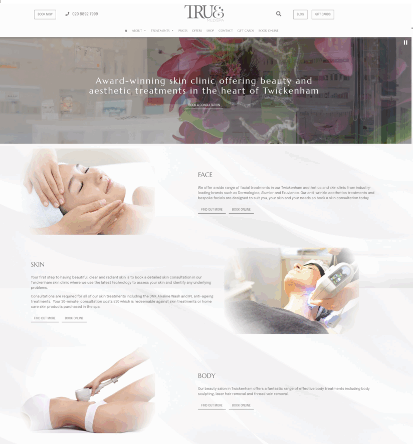 Salon Guru websites for aesthetic clinics